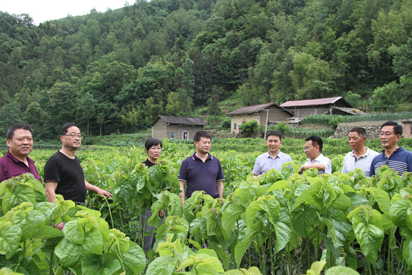 安康市商務(wù)局領(lǐng)導(dǎo)來我公司調(diào)研春蠶收購及扶貧點(diǎn)蠶?；亟ㄔO(shè)情況
